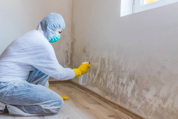 Licensed Mold Inspection service in Parkhill, PA - WQB Mold Removal
